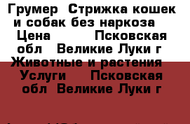 Грумер. Стрижка кошек и собак без наркоза. › Цена ­ 600 - Псковская обл., Великие Луки г. Животные и растения » Услуги   . Псковская обл.,Великие Луки г.